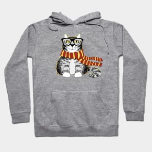 SIR KATNESS, WISE KING OF A WINDY DAY Hoodie